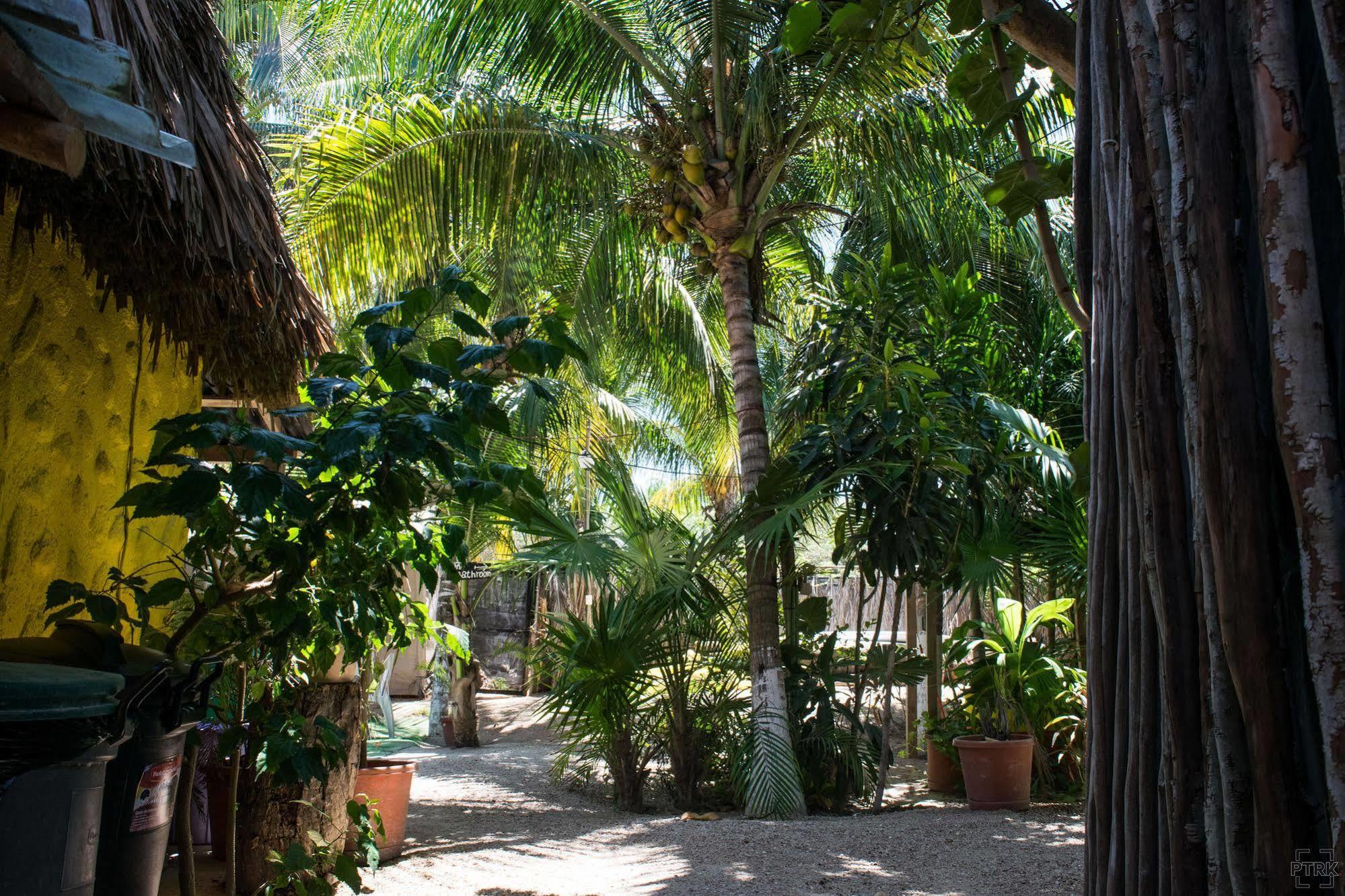 Casa Maya Holbox Exterior foto